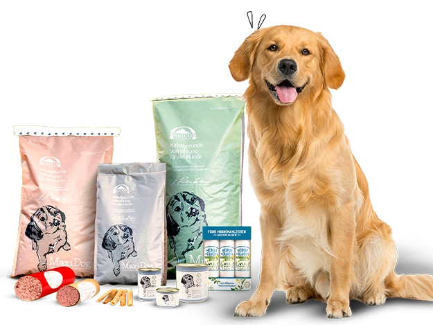 Das Original aus dem